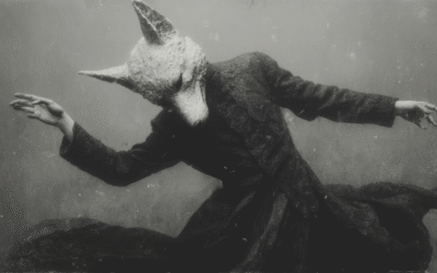 About Strange Loop Wave